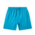 thumbnail image 1 of Birdeem Mens Shorts Mens Casual Surfing Solid Color Drawstring Elastic Quick-Dry Beach Shorts, 1 of 9