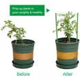 thumbnail image 2 of 2 Pack Plant Support Cage Rust Resistant Garden Plant Support for Tomato  Trellis  Climbing Plant  Flower  17.7” High, 2 of 14
