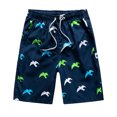 thumbnail image 1 of Cadeaux pour Hommes LSLJS Shorts Décontractés de Plage à Séchage Rapide pour Hommes, Style Vacances, Impression Spéciale. Shorts pour Hommes, 1 of 2
