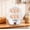 White, variant on Mini Egg Cooker Stainless Steel Household Double Layer Boiled Eggs Maker Electric For Soft Or Hard Eggs