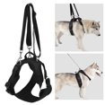 thumbnail image 4 of Dog Lift Harness, Auxiliary Multifunctional Dog Lift Sling Soft Fleece Lined 4 Modes Ergonomic Design  For Front Legs For Medium Dogs S,M,L,XL, 4 of 8