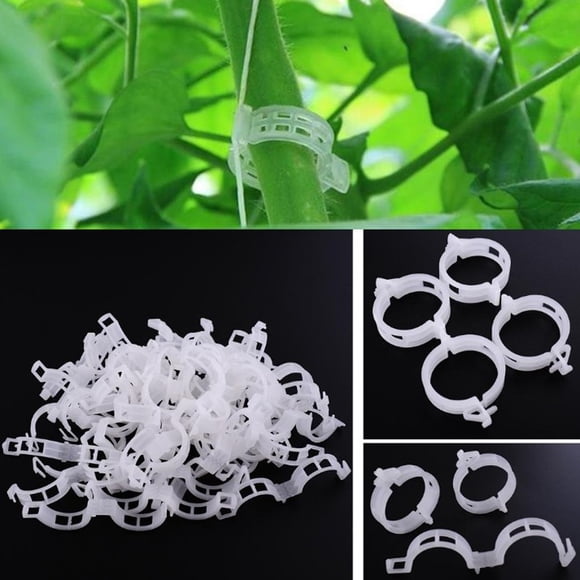 Meitianfacai 200pc Plant Plastic Fixing Clip Clip Clip Binding Clip Grafting Clip Fixing Device