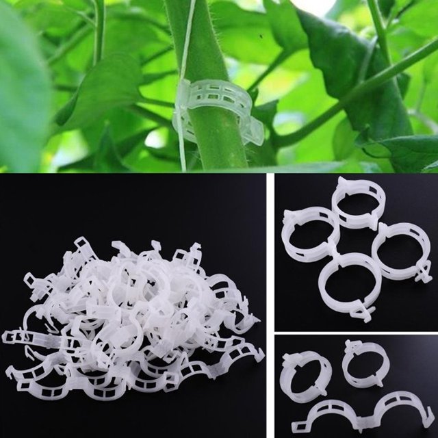 Yhmxh Kitchen Gadgets Kitchen Essentials 200pc Plant Plastic Fixing Clip Clip Clip Binding Clip Grafting Clip Fixing Device Kitchen Aid Attachments Kitchen Accessories for Home Kitchen Camping