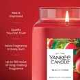 thumbnail image 3 of Yankee Candle Macintosh, Fall Scented Candle, 22oz Large Jar with Burn Time, 3 of 8
