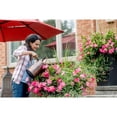 thumbnail image 5 of Miracle-Gro Water Soluble All Purpose Plant Food - 1.5kg, 5 of 5