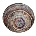 thumbnail image 1 of Tapis de Salon Rond à Grain de Bois pour Enfants, Tapis de Sol pour la Maison, Tapis de Jeu, Tapis de Yoga pour Salon, Rond, Design Rond, 1 of 2