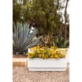 thumbnail image 3 of Veradek Demi Series Jardinière Blanche 42 Pouces à Arrosage Automatique (Lot de 2), 3 of 10
