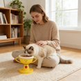 thumbnail image 3 of Bol pour Chat Réglable, Gamelle Surélevée à 30° avec Support Incliné Surélevé/gamelles Empilables/cinq Niveaux de Hauteur Réglables pour Chats et Chatons, Ensemble Ergonomique de Distributeur de Nourriture et d'Eau pour Animaux (Céramique), 3 of 8