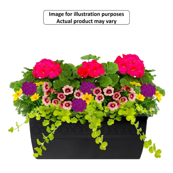 Jardinière De Fenêtre D'Annuelles À Fleurs #24 Pour Balustrade De Terrasse