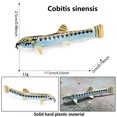 thumbnail image 3 of Riforla Fish Toys Ocean Animals Toys Goldfish Fish Tank Decorations Children Toys Tots Toys Toys Adult Toys Mini Toys Fish Fish Fish Simulation Kitchen Toy G, 3 of 8