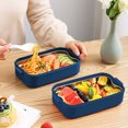 thumbnail image 4 of Tranfacy Maison et Cuisine, Boîte à Lunch, Boîte à Lunch en Plastique Corps 700ml et Doublure en Acier Inoxydable 480ml Boîte à Lunch Bento pour Enfants Contenants à Lunch pour Adultes Étanche, 4 of 4
