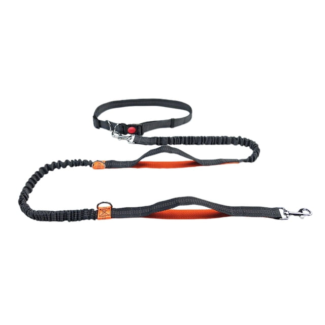 Laisse pour Animal de Compagnie Extérieur Course Réfléchissante Double Extensible Laisse pour Chien Chaîne Laisse Fournitures pour Animaux