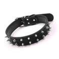 thumbnail image 3 of Spiked Dog Collar, Studded Dog Collar Leather Dog Collar Dog Collar with Spikes Punk Style Brass Spiked Dog Collar Adjustable Spiked Studded Rivet Brass Buckle Small Dog Collar, 3 of 7