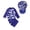 style-01 Navy, variant on Gubotare Toddler Bathing Suit Boy Boys Rash Guard Swimsuits Set for Boys 2 Piece Swim Shirts Quick Dry Bathing Suits 12 18 Months (Sky Blue,12-18 Months)