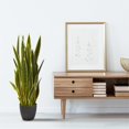 thumbnail image 2 of Nearly Natural 6350-YL 38 in. Sansevieria Artificial Plant - Yellow, 2 of 2