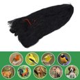 thumbnail image 1 of Bird Protective Mesh Netting Keep Birds And Pests Away From Your Garden  50 X 25ft, 1 of 8