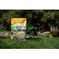 thumbnail image 4 of Scotts Turf Builder Weed & Feed Fertilizer 10-0-0 9.1kg, 4 of 6