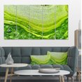 thumbnail image 1 of Eau Polluée avec des Algues en Vert - Grande Oeuvre Abstraite sur Toile, 1 of 4