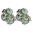 thumbnail image 1 of Lifelike Plastic Plant,2PCS Artificial Water Plant Artificial Reptile Plant Artificial Plastic Plant Extended Durability, 1 of 14
