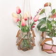 thumbnail image 2 of Agiferg Leather Flower Pot Tray Multi-Level Plant Hanging Basket Hanging Pot Hanger, 2 of 2