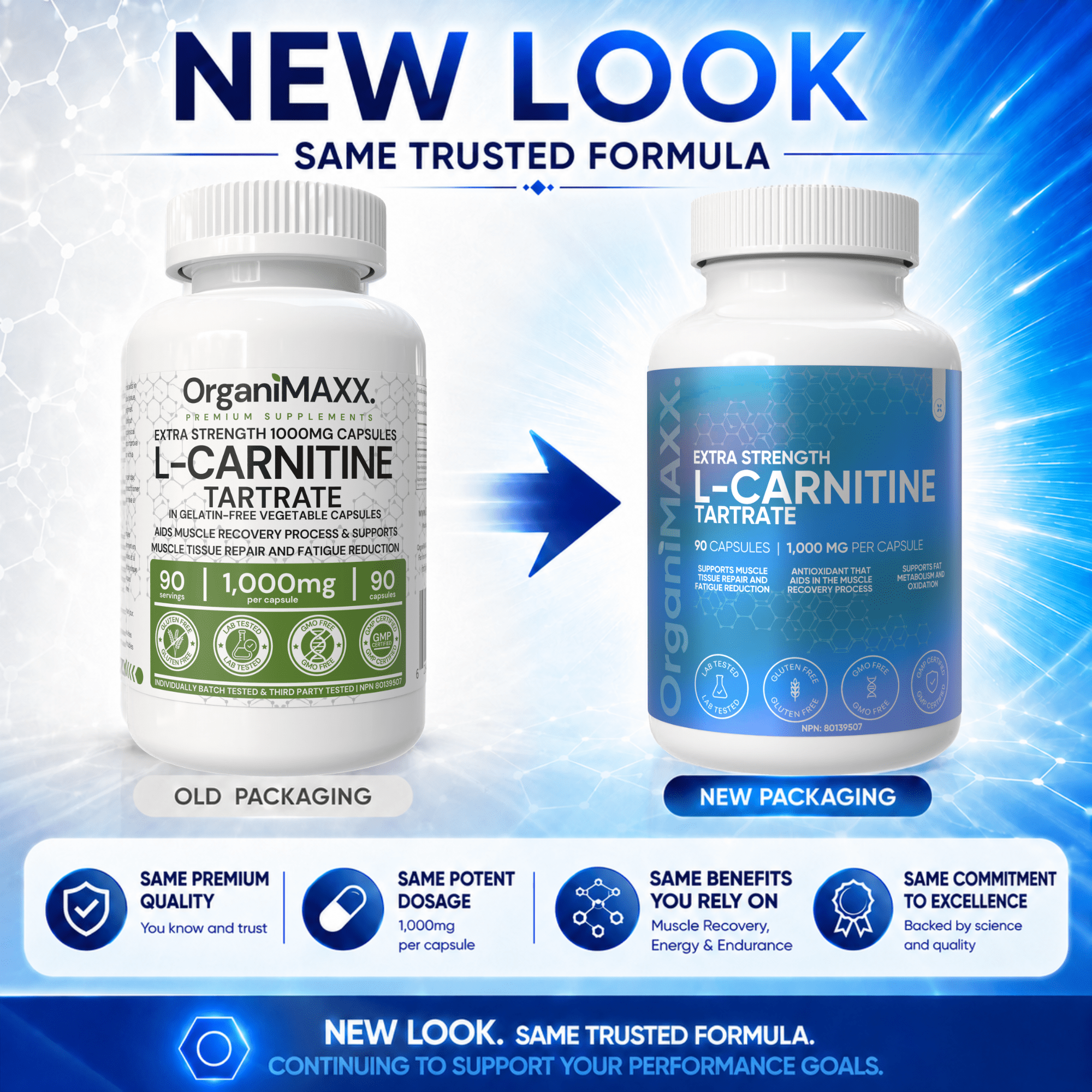 L Carnitine DOUBLE STRENGTH 1,000mg One A Day Capsules OrganiMAXX L- Carnitine Tartrate For Muscle Recovery Process