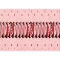 thumbnail image 1 of Ahgly Company Tapis Rectangulaire Rouge Lavable en Machine, 4 Pieds x 6 Pieds, 1 of 7