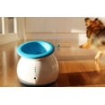 thumbnail image 5 of iFetch Lanceur de balle automatique pour chiens, 5 of 5