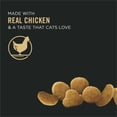 thumbnail image 3 of Purina Pro Plan Urinary Tract Health Chicken & Rice Formula, Dry Cat Food, 3 of 8