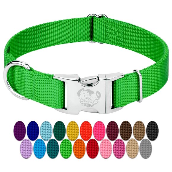 Country Brook Petz Premium Nylon Dog Collar with Metal Buckle for Small Medium Large Breeds - Vibrant 30+ Color Selection (Small 3/4 Inch Hot Lime Green)