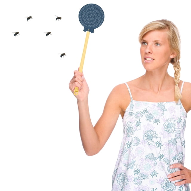 LSLJS Candy Shaped Fly Swatter Fly Swatter Fly Swatter for Indoors FlySwatter Fly Swatters Green 2/4/10 PCS, The Swatter