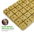 thumbnail image 3 of ELAYARD 100pcs Gardening Supplies Starter Hydroponics Substrate for Beginners, 3 of 7