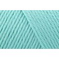 thumbnail image 3 of Bulk Buy: Caron Simply Soft Yarn Solids (2-Pack) (Robin's Egg), 3 of 4