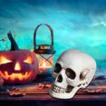 thumbnail image 5 of Yhmxh Halloween Decorations,Party Favors,Halloween Skeletons Plastic Realistic Fake Simulation Human Skull HeadBone Model Halloween Prop Realistic Mini Skeleton Spooky Halloween Decoration, 5 of 5