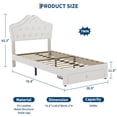 thumbnail image 3 of EDTara Twin Size Princess Bed Frame with Storage Drawers & LED Lights, Velvet Upholstered Platform Bed with Crystal Buttons, No Box Spring Needed, Noise-Free Kids Bed, 3 of 9