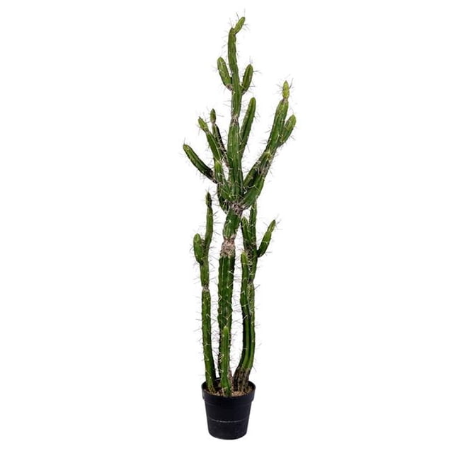 Vickerman FE191156 56 in. Green Potted Cactus Plastic Planter Pot