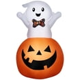 thumbnail image 1 of Airblown-Baby Ghost in JOL-SM (WM), 1 of 6