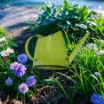 thumbnail image 5 of 1.4L Plastic Watering Can For Indoor Long Spout Flower Watering Pot Colorful Transparent Jug For Home Garden (Multicolor), 5 of 5