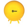 thumbnail image 2 of Champion Sports CHSBL65 Fitpro Ball Stability Legs Yel 65Cm, 2 of 2