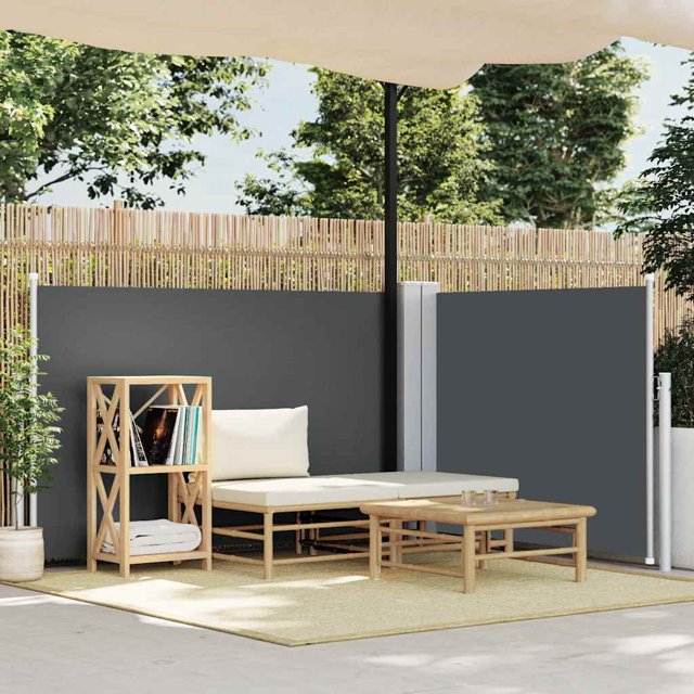 vidaXL Auvent Latéral Rétractable Anthracite 120x1000 cm