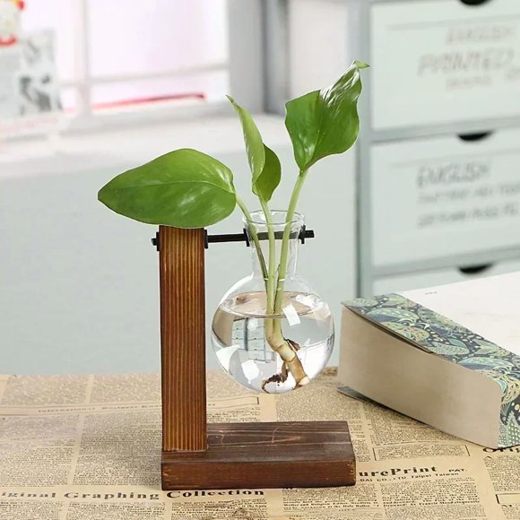Terrarium Hydroponic Plant Vases Vintage Flower Pot Transparent Vase Wooden Frame Glass Tabletop Plants Home Bonsai Decor,SingleBottle