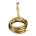 thumbnail image 5 of enjoywould Collier Ras du Cou Style Occidental Électroplaqué Réglable Multi-Fonction Finition Fine Habillage Exquise Punk Alliage Serpent Collier Accessoire de Bijou, 5 of 5