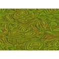 thumbnail image 1 of Ahgly Tapis Rectangulaire Lavable en Machine Intérieur Transitionnel Vert Pistache, 2 Pieds x 3 Pieds, 1 of 7