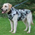 thumbnail image 1 of SUTENGDA Reflective Windproof Dog Jacket with Leash Attachment - Warm  Durable Pet Coat for Training & Outdoor Activities  Easy-On Zip Design  Waterproof  Ideal for All Breeds, 1 of 7