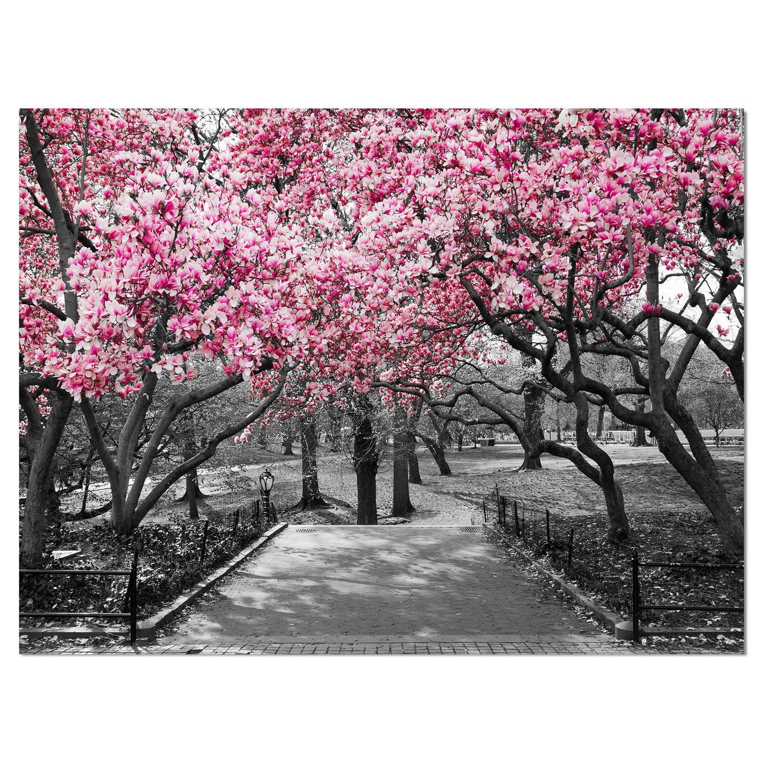 Designart Fleurs de cerisier Art mural sur toile