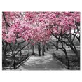 thumbnail image 1 of Designart Fleurs de cerisier Art mural sur toile, 1 of 4