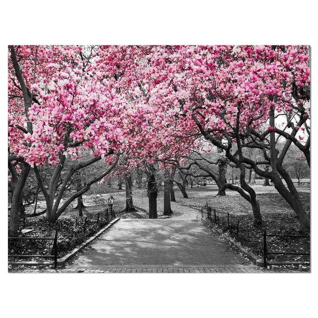Designart Fleurs de cerisier Art mural sur toile