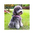 thumbnail image 5 of 1PC Cat Harness Vest Walking Lead Leash For Puppy Dogs Collar Polyester Adjustable Mesh Dog Harness For Small Medium Pet collar & leash set, 5 of 5