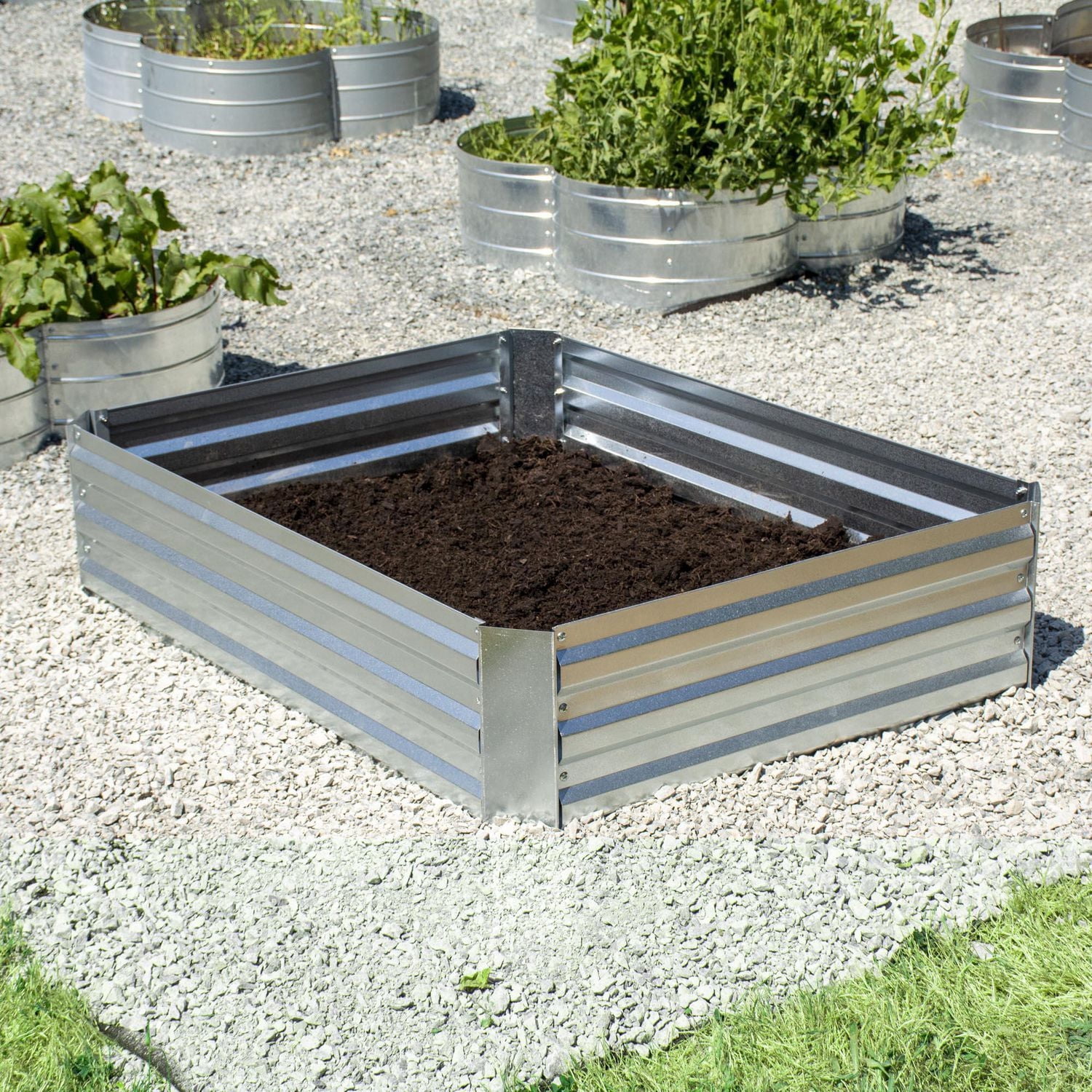 Grapevine Galvanized Steel Raised Garden Bed, Rectangular, Silver