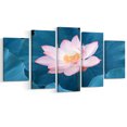 thumbnail image 2 of Fleur de Lotus Rose en Floraison, 2 of 3