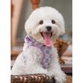thumbnail image 3 of Hp265 Harness Style Dog Leash For Small And Medium Breeds Such As Teddy And Pomeranian, 3 of 4